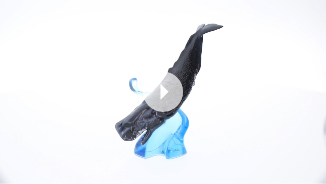 動画撮影プラン